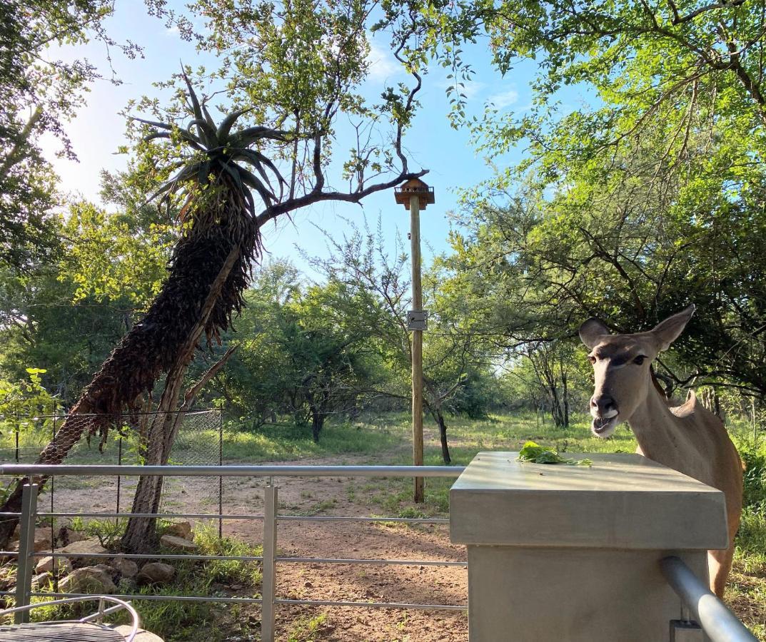 Vila Kruger'S Keep - Luxury Couples Haven Marloth Park Exteriér fotografie